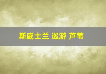 斯威士兰 巡游 芦苇